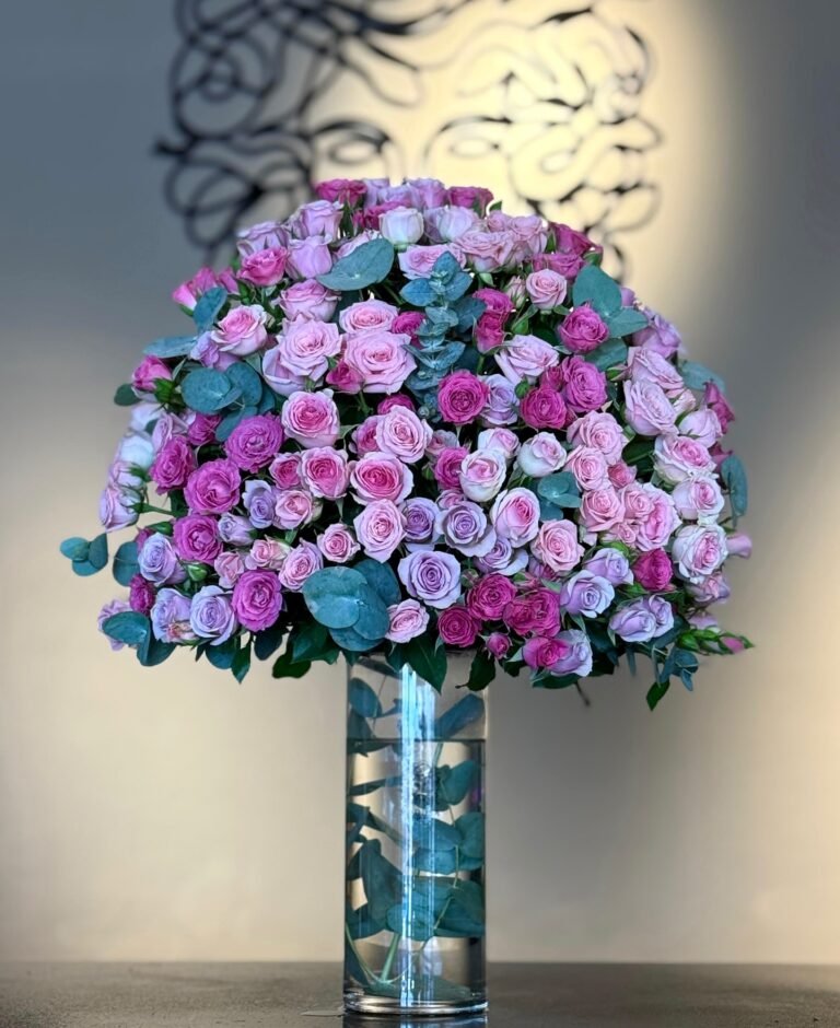 Roses Mania