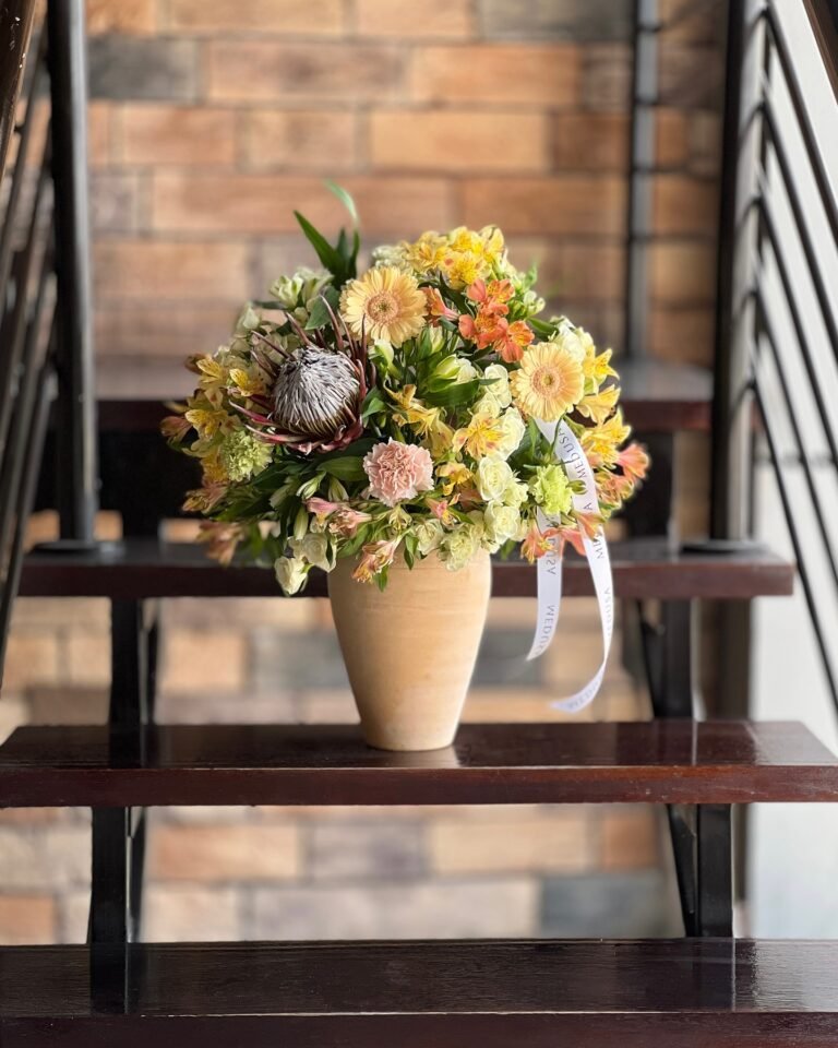 Medusa Arrangement — 13
