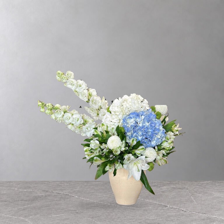 Medusa Arrangement — 12