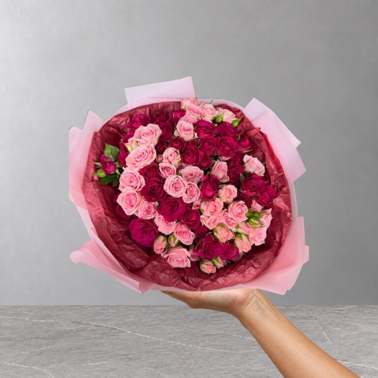 Medusa Arrangement — 17